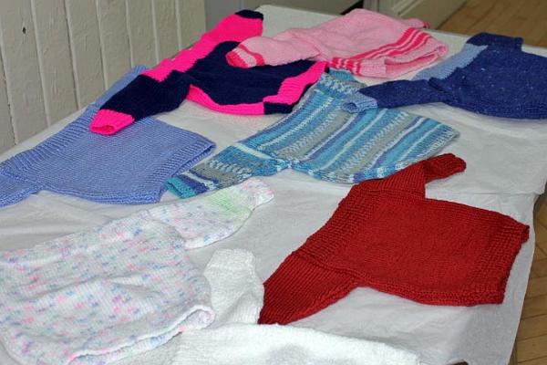 Baby jumpers waiting to be judged.jpg